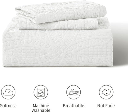Cabin Quilts Set Summer Quilt Lightweight Microfiber Bedspread Coin Pattern Coverlet for All Season - 3 Piece (1 Quilt, 2 Pillow Shams)
