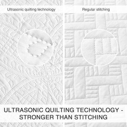 Cabin Quilts Set Summer Quilt Lightweight Microfiber Bedspread Coin Pattern Coverlet for All Season - 3 Piece (1 Quilt, 2 Pillow Shams)
